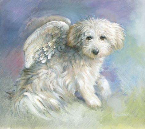 Dog Angel Angel Dog, Dog Angel, Dog Quotes Love, I Believe In Angels, Dog Heaven, Angels Among Us, Angel Painting, Guardian Angels, Angel Pictures