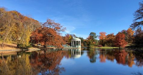 Visitors will find Roger Williams Park to be a sanctuary full of interesting things to explore. Let us discover more about the Park's walking specific England Scenery, Roger Williams Park, Small Town Living, New England States, New England Fall, Providence Rhode Island, Family Trips, Top Five, Summer Bucket