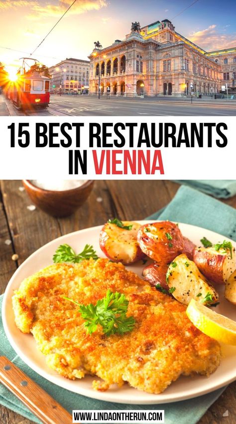 15 Best Restaurants In Vienna Vienna Restaurant, Vienna Food, Vienna Austria Travel, Austria Travel Guide, Vienna Travel, Dinner Places, European Travel Tips, Austria Vienna, Christmas In Europe