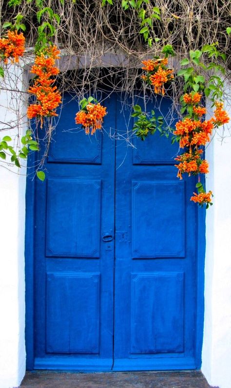 San Miguel de Tucumán, Argentina, Door | ドア | Porte | Porta | Puerta | дверь | Sertã. Nice photo of rich blue door and flowers. Door Architecture, Blue Doors, When One Door Closes, Gorgeous Doors, Magic Garden, Cool Doors, Door Gate, Blue Door, Old Doors