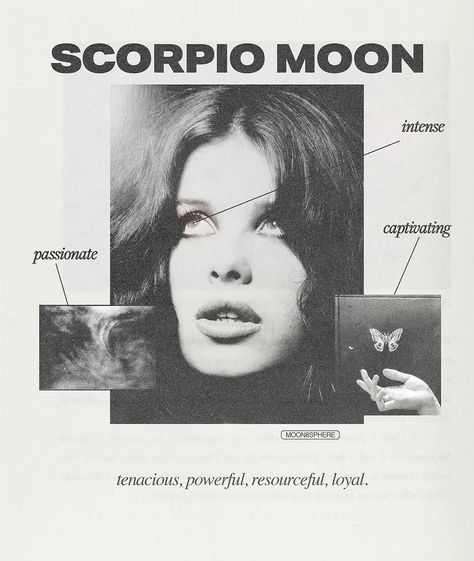 Scorpio Moon Sign, Scorpio Aesthetic, Moon Sign Astrology, Zodiac Moon, Zodiac Quotes Scorpio, Scorpio Rising, Scorpio Art, Astrology Scorpio, Gemini And Scorpio