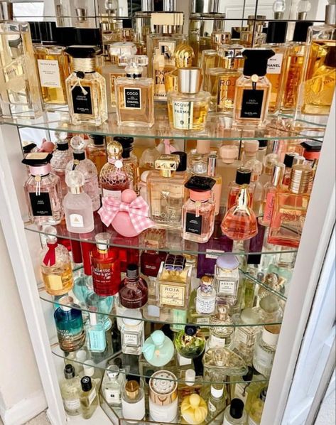 Good Girl Aesthetic, How To Organize Perfumes On Dresser, Pink Ysl, Valentino Born In Roma, Make Up Color, Profumo Victoria Secret, Koleksi Parfum, Perfume Organizer, Perfume Storage