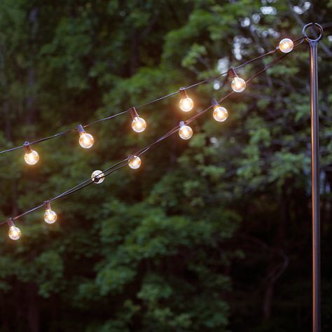 Outdoor Lamp Post - Terrain Outdoor Light Post, Outdoor Lamp Post, Landscape Hardscape, Outdoor Lamp Posts, Outdoor Lantern Lighting, Light Post, Lantern String Lights, Bull Horns, Indoor String Lights