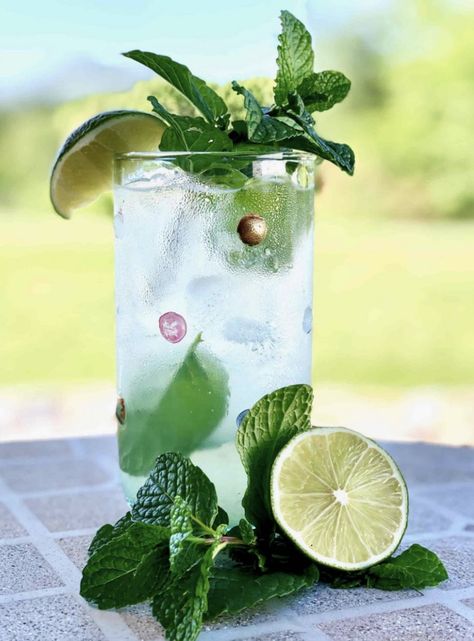 When it comes to summer drinks, there's perhaps none more refreshing than a coconut rum cocktail. Here's 12 recipes to try this season. Coconut Lime Mojito, Coconut Rum Cocktails, Lime Mojito, Coconut Rum Drinks, Coconut Mojito, Mint Drink, Watermelon Mojito, Orange Cocktails, Mint Mojito