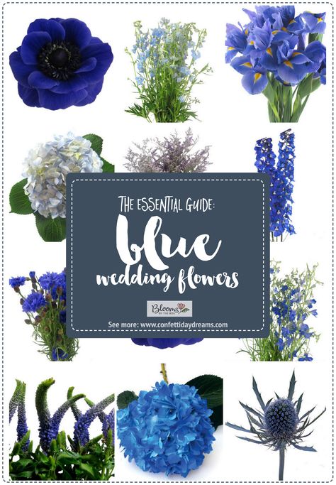 The Essential Blue Wedding Flowers Guide: Types of Blue Flowers, Names, Seasons + Pics. Get flower names and ideas for blooms to use for your bouquet, boutonniere, centerpieces and more!  #bluewedding #navywedding #blueweddingflowers #blueflowers #weddingflowers #flowernames #wedding #confettidaydreams #weddingideas #diywedding #weddingplanning Wedding Flower Arrangements Navy Blue, Blue Flowers For Wedding Bouquet, Blue Flowers For Bouquet, Flowers Available In December, Navy Wedding Florals, June Wedding Flowers Blue, Wedding Bouquets With Blue Flowers, Navy Blue Purple And White Wedding, Navy Flowers Wedding