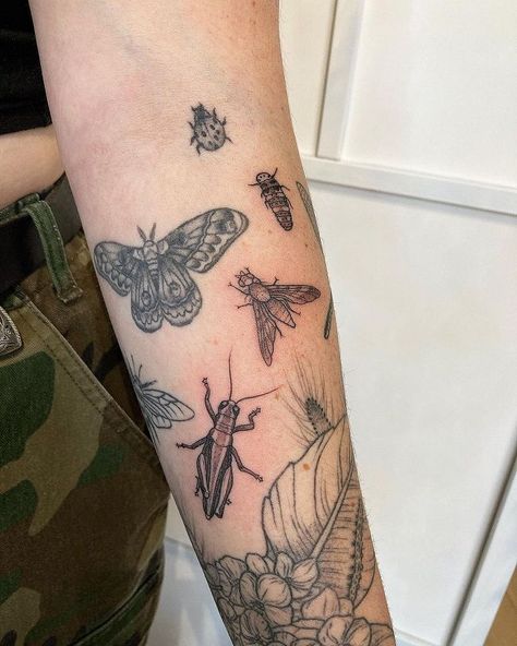 Insect Forearm Tattoo, Insect Patchwork Sleeve, Full Nature Sleeve Tattoo, Bugs Sleeve Tattoo, Bug Patchwork Sleeve Tattoo, Bug Themed Tattoo Sleeve, Insect Leg Tattoo, Tattoo Ideas Insects, Traditional Mantis Tattoo