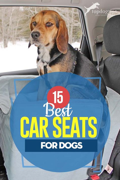 Car Seats For Dogs, Small Dog Car Seat, Dog Car Booster Seat, Dog Car Travel, Pet Booster Seat, Dog Car Safety, Dog Hammock For Car, Best Small Dogs, Dog Car Accessories