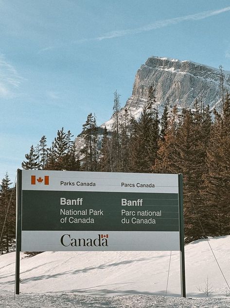 Banff National Park | Jasper National Park | Peyto Lake| Hike| 2022 | Canadian Winter | Canadain Rockies | Bow Valley Parkway | Canada | Cloudly | Snow | Banff Road Trip | Ultimate Guide Banff | February 2022 | Film Photography |Mountains Banff Road Trip, Banff Photography, National Park Sign, Jasper Canada, Peyto Lake, Photography Mountains, National Parks Photography, Banff Canada, Canadian Winter