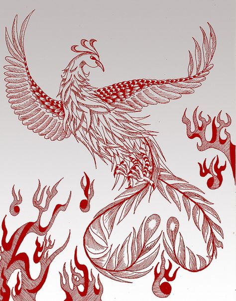 vermilion bird of the south | Vermilion Bird (朱雀) of the South | Flickr - Photo Sharing! The Vermillion Bird of the South was the god of fire and a symbol of good luck and summer. Vermilion Bird Of The South, Vermillion Bird Chinese, Pheinox Bird, Vermillion Bird, Iron Widow, Vermilion Bird, Desktop Background Pictures, Chinese Mythology, Bird Tattoo