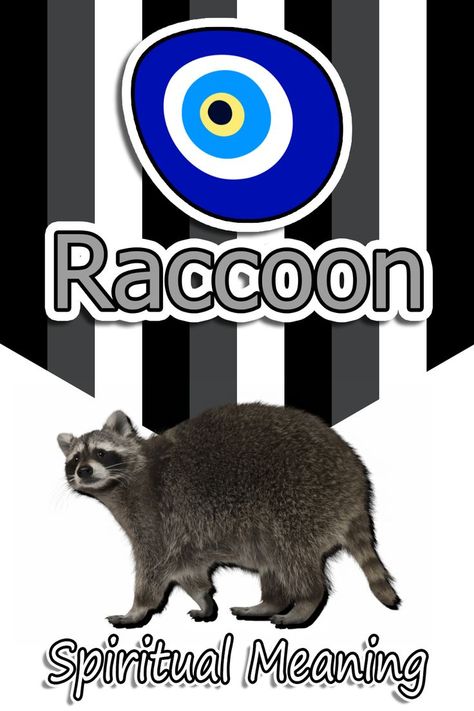 Raccoon Spiritual Meaning Raccoon Spiritual Meaning, Animal Spirit Guides, Your Trash, Animal Spirit, Spiritual Meaning, Racoon, Mind Body Spirit, Spirit Guides, Spirit Animal