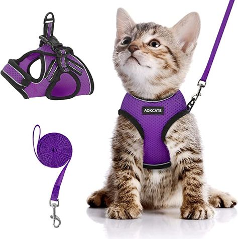 Pet Supplies : AOKCATS Cat Harness and Leash Set, Escape Proof Soft Adjustable Kitten Vest Harnesses for Walking with Reflective Strips Breathable Mesh Kitty Jacket for Small Cats Comfort Easy Control, Purple, S : Amazon.com Harness For Cats, Hot Gril, Kitten Harness, Cat Harness And Leash, Spoiled Pets, Harness And Leash Set, Pet Things, Cat Leash, Cat Hacks