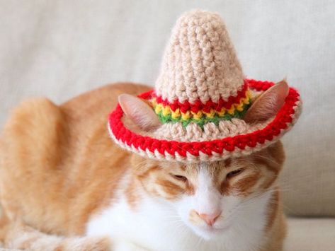 Crochet Cat Sombrero easy pattern Cat Hat Pattern, Kat Haken, Pola Topi, Crochet Cat Hat, Diy Knit, Taco Cat, Santa Cat, Dog Hat, Cat Hat