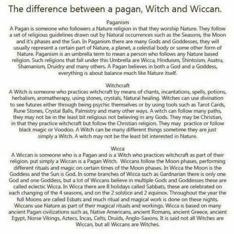 The difference between paganism witchcraft and wicca Witchy Knowledge, Psychic Eye, Magickal Correspondences, Shadow Ideas, Modern Witchcraft, Pagan Beliefs, Check Lists, Witchy Tips, Which Witch