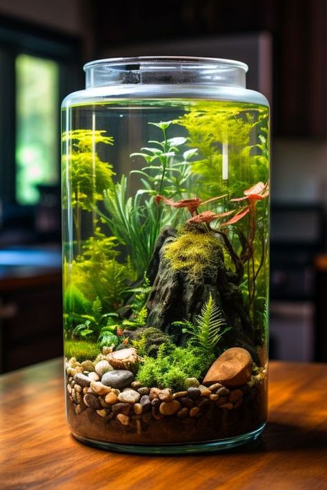 Add a splash of life to your decor with a vibrant shrimp jar setup. Our blog post breaks down the essentials, making it easy for anyone to get started. Click through for a comprehensive guide to creating your own aquatic masterpiece. Planted Jar Aquarium, Aquatic Garden Fish Tanks, Simple Aquarium Ideas, Beta Tanks, 10 Gallon Tank Ideas, Paludarium Ideas, Shrimp Tanks, Beta Tank, Aqua Scape