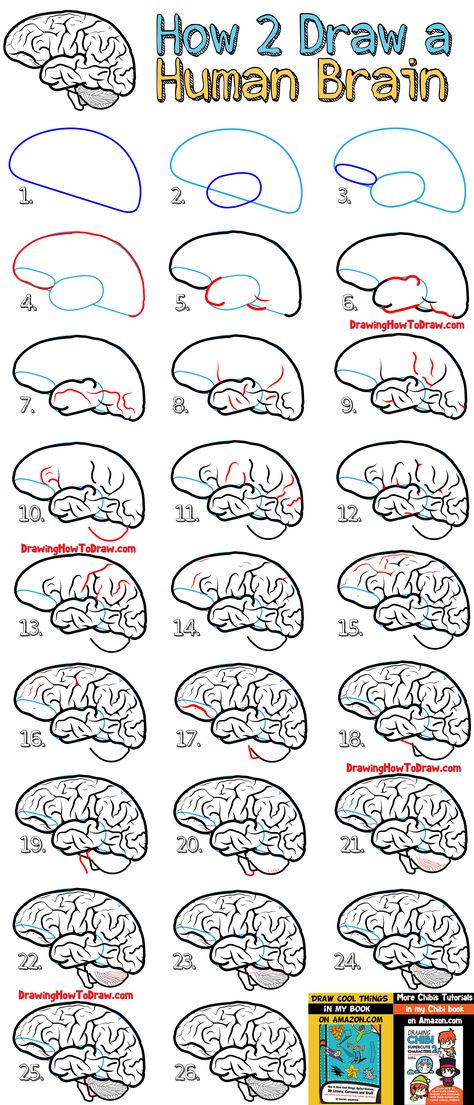 Learn How to Draw a Brain - Simple Step by Step Drawing Tutorial for Beginners Draw A Brain, Simple Step By Step Drawing, Steps Drawing, Brain Drawing, How To Draw Steps, Brain Art, Drawing Tutorials For Beginners, Drawing Lesson, Drawing Tutorial Easy