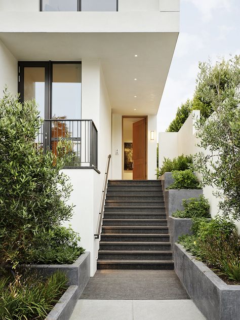 SF Modern (Image: Matthew Millman) House Entrance Stairs Exterior, House Entrance Stairs, Outdoor Stairs To House Entrance, Entrance Stairs, Landscape Stairs, Front Stairs, Mountain Home Exterior, Front Wall Design, Spanish Modern