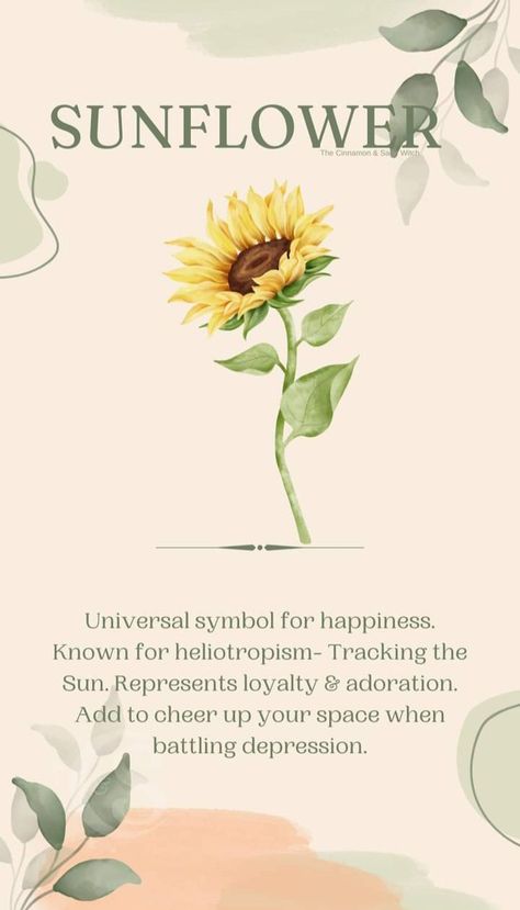 Moonflower Meaning, Sunflower Meaning, Plant Meanings, Flower Symbolism, Flower Dictionary, God Apollo, Floral Doodles, Happiness Symbol, Water Nymph