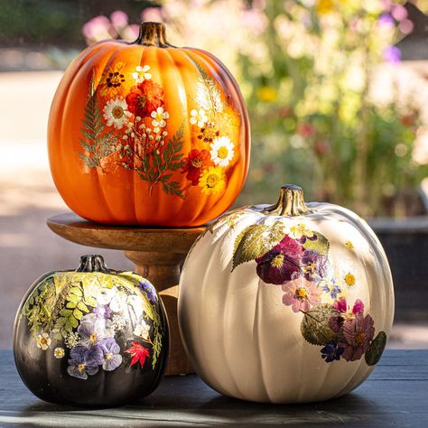 This packet of pretty, pressed botanicals brings a touch of nature to any space. The botanicals can dress up a dinner party tablescape or add a pop of color to any craft project. Just like the seasons change, the botanical variety in each packet can change based on seasonal availability of natural materials. White Pumpkin Pressed Flowers, Pressed Floral Pumpkin, Dried Flowers On Pumpkins, Pumpkin Dried Flowers, Pumpkins And Petals Party, Wildflower Garden Party, Dried Flower Pumpkin, Flower Pressing Art, Pressed Flower Pumpkin