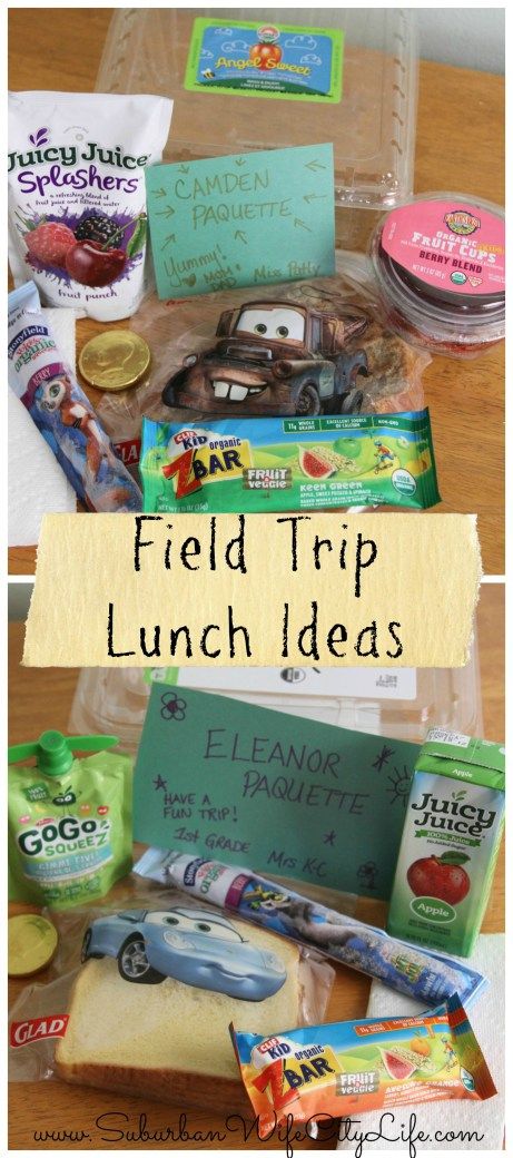 Field Trip Lunch Ideas, Field Trip Lunch, Zoo Field Trip, Pack Lunches, Lunch Kids, Kindergarten Lunch, Baby Lunch, Zoo Trip, Preschool Lunch