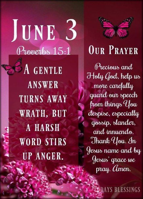 Our Prayer For June 3 prayer bible verse scripture daily blessings daily bible verse todays blessings june 3 June Quotes, Deuteronomy 31 6, Love Good Morning Quotes, Tuesday Quotes, Good Morning Happy Sunday, Daily Blessings, Have A Great Week, Quotes About Photography, Daily Word