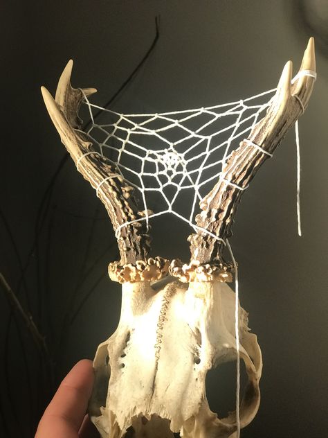 Insect Taxidermy Art, Animal Bone Crafts, Nature Apocalypse, Animal Skull Decor, Oddities Decor, Taxidermy Decor, Animal Skeletons, Dream Catcher Craft, Taxidermy Art