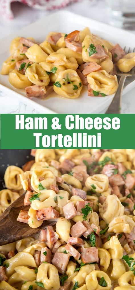 Ham & Cheese Tortellini - use that leftover ham to make this easy creamy tortellini dinner in 20 minutes! Great one pan meal any night of the week! Ham And Cheese Tortellini, Ham Tortellini, Clean Eating Pasta, Cheese Tortellini Recipes, Tortellini Recipe, Creamy Tortellini, One Pan Meal, Crockpot Ham, Ham Casserole