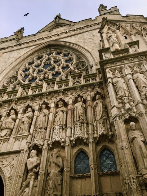 Exeter Cathedral, Exeter, UK | hhamab | VSCO Academic Romanticism, Exeter University, Uni Motivation, Gorgeous Architecture, Exeter England, Exeter Cathedral, Pretty Buildings, Exeter, Uk Travel