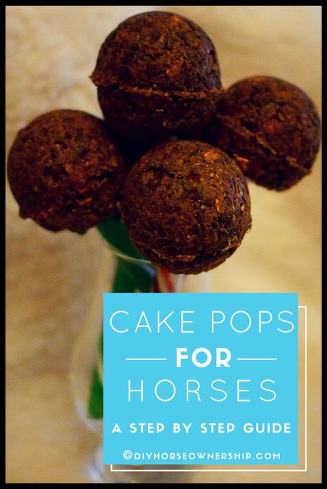 Horse Treats Recipe With Icing, No Bake Horse Treats, Horse Diy Projects, Horse Treats Recipe Easy, Arabian Cookies, Horse Treats Recipe, Horse Snacks, Horse Recipes, Horse Cake Pops