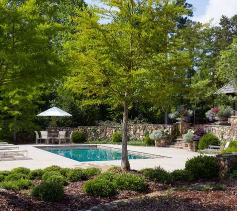 20 Beautiful Pool Landscaping Ideas for Creating a Relaxing Oasis Freeform Pool Landscaping Ideas, Pool Landscaping Privacy, Large Backyard Landscaping With Pool, House With Pool And Garden, Landscaping Around Pool, Pool Landscaping Ideas, Texas Pools, Inground Pool Landscaping, Elegant Landscape