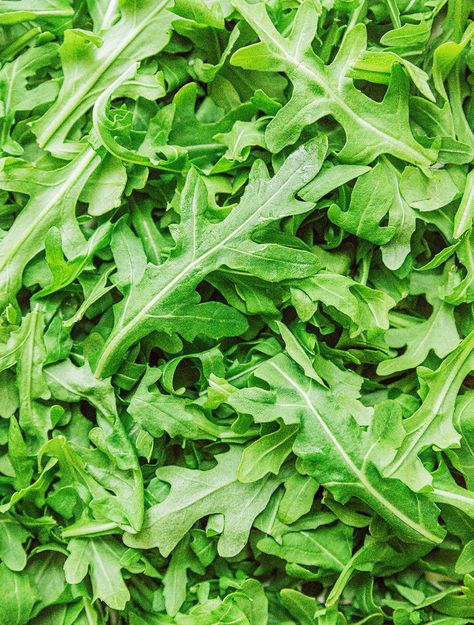 Cooking With Arugula, How To Use Arugula, Arugula Benefits, Benefits Of Arugula, Health Benefits Of Arugula, Salad Benefits, Dressed Arugula, Rocket Leaves, Arugula Recipes