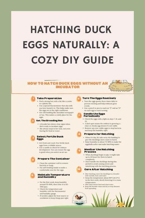 Hatching Duck Eggs Naturally Hatching Duck Eggs, Duck Hatching, Homemade Incubator, Diy Incubator, Broody Hen, Duck Species, Cozy Diy, Raising Ducks, Dog Walking Business