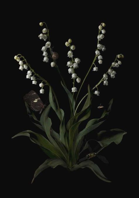 Botanical Aesthetic, Dark Cottage Core, Dark Botanical, Midnight Garden, Season Of The Witch, Dark Floral, Flower Child, Vintage Wallpaper, Lily Of The Valley