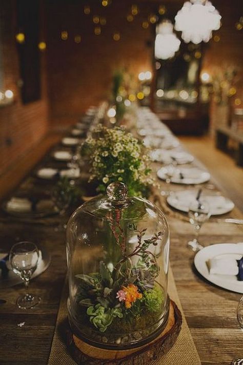 country terrariums wedding centerpiece / http://www.himisspuff.com/geometric-terrarium-wedding-ideas/8/ Terrarium Wedding Centerpiece, Geometric Terrarium Wedding, Carondelet House Wedding, Iris Wedding, Centerpieces Rustic, Cloche Decor, Terrarium Centerpiece, Terrarium Wedding, Expensive Flowers