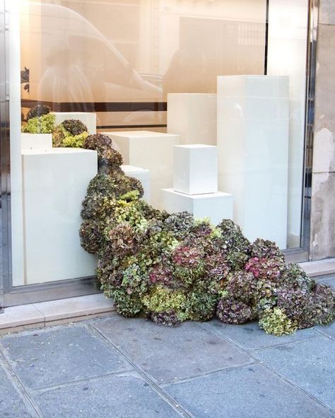 Window Installation Design, Flowers London, October Flowers, Peacock Wall Art, Large Centerpiece, Flower Window, Flower Installation, Holiday Flower, Creative Display