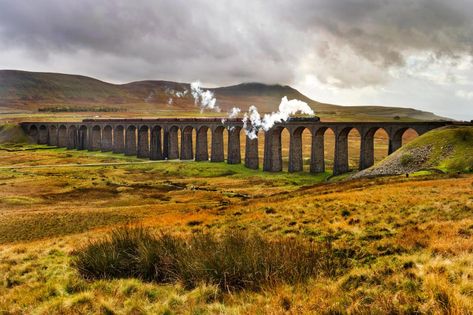 The Ribblehead Viaduct in the national park is a beautiful sight to see Yorkshire Countryside, Ribblehead Viaduct, Travel Uk, Beautiful Sights, Bus Driver, Travel News, Carlisle, The National, Yorkshire