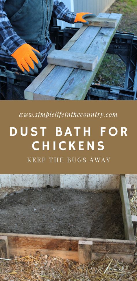 There is a few things you need to provide to your chickens to keep them healthy. One thing is to provide an area, that is out of the weather, where they can dust bathe. This is the way they keep themselves clean and bug free. Winter Dust Bath For Chickens, Chicken Dust Bath, Dust Bath For Chickens, Dust Bath, Chicken Coops, A Chicken, Chicken Coop, Easy Projects, Bugs