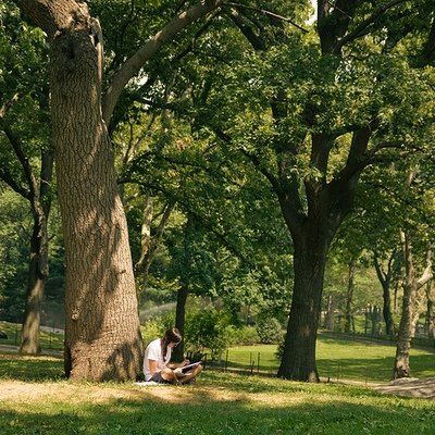 Reading under a tree, one of my favourite locations, especially with the sun shining, you can easily imagine yourself far far away.. Reading Book Under Tree, Reading In A Tree, Laying Under A Tree, Personality Photoshoot, Reading Under A Tree, Reading In The Park, Letting Go Book, Sitting Under A Tree, Education Poster Design