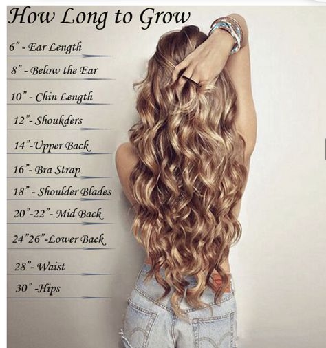 One Piece Hair, Long Face Hairstyles, Face Shape Hairstyles, Curly Hair Extensions, Clip In Hair Extensions, Long Curly, Hair Extension, Curly Hair Styles Naturally, Wavy Hair