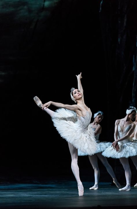 Marianela Nunez in Swan Lake. © Bill Cooper, courtesy the Royal Opera House Princess Odette, 5 Spice, Swan Lake Ballet, Cow Boys, Ballet Beauty, Ballet Poses, Ballet Inspiration, Ballet Art, Ballet Photos