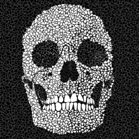 Mosaic Skull Art, Skull Mosaic, Skeleton Heads, Skull Furniture, Bullet Crafts, Mosaic Tile Art, Jeepers Creepers, Mosaic Artwork, Square Mirror