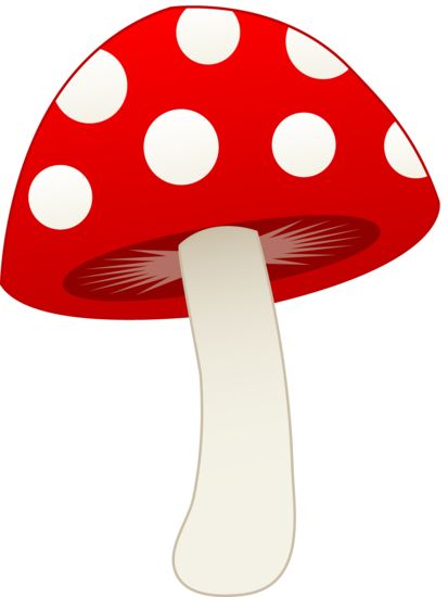 Spotted Mushroom Alice In Wonderland Mushroom, Mushroom Clipart, Red And White Mushroom, Mushroom Images, Cat Template, Cartoon Mushroom, Mushroom Wallpaper, Mushroom Pictures, Clip Art Free