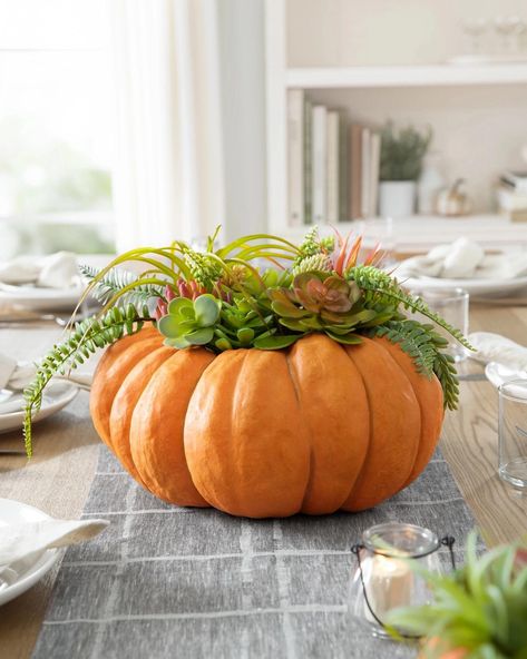 PRICES MAY VARY. All products in this collection feature assorted succulents set in a lifelike pumpkin Pumpkin is crafted from resin Painted by hand Measures 16" in diameter x 12" high For indoor or covered outdoor use Dress up your celebrations with this charming centerpiece to delight guests and loved ones. Display on its own or arrange with other natural accents for an elevated look. Fall Hanging Baskets, Succulent Pumpkin, Pumpkin Centerpiece, Slim Tree, Purple Succulents, Pretty Pumpkins, Fall Flower Arrangements, Harvest Pumpkin, Balsam Hill