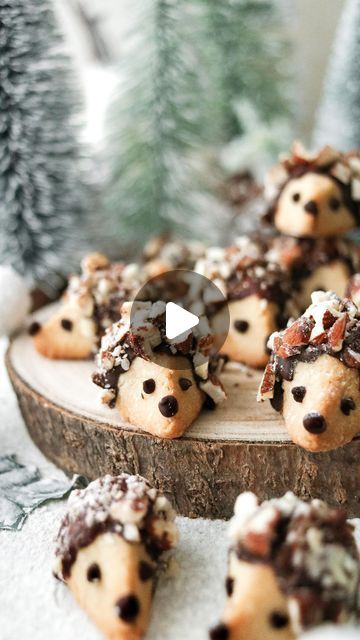 337K views · 48K likes | Holly Jade on Instagram: "HEDGEHOG COOKIES🦔 YAY or NAY?? Who wants one?
.
5 INGREDIENT, Vegan + Gluten-Free Hedgehog Cookies with chocolate & chopped nuts! No-one will be able to tell they’re vegan, let alone gluten-free!!👌🏻🤤 I used them to dedicate my Gluten-Free Vegan Yule Log! Perfect for Christmas bakes!!🎄🦔 Plus they only take 10 minutes to bake! SAVE THIS POST 🤤
What you’ll need:
🦔 Gluten-Free Plain Flour
🦔 Maple Syrup 
🦔 Coconut Oil 
🦔Dairy-Free dark chocolate 
🦔Chopped nuts 
.
• Get the recipe- Link in my bio or https://www.thelittleblogofvegan.com/2022/12/gluten-free-vegan-yule-log.html
.
.
.
.
#cookies #hedgehog #christmascookies #christmasbaking #comfortfood #easyrecipes #hedgehogcookies  #hedgehoglove #kawaiifood #homemade #easyrecipes #cooki Gluten Free Yule Log Recipe, Vegan Yule Log, Gluten Free Yule Log, Hedgehog Cookies, Yule Log Recipe, Christmas Bakes, Cookies With Chocolate, Yule Log, Yay Or Nay