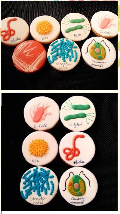 Biology Themed Baking, Microbiology Project Ideas, Biology Themed Cakes, Anatomy Cupcakes, Microbiology Cookies, Biology Cake Ideas, Biology Cookies, Microbiology Cake, Biology Party