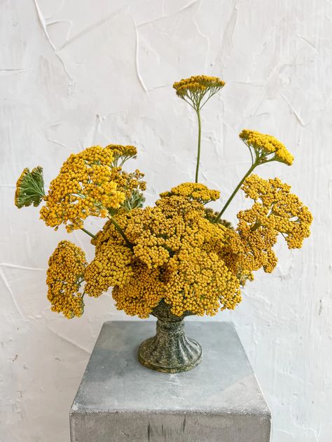 Unique Flower Arrangements Wedding, Greek Flower Arrangements, Autumn Floral Arrangements Wedding, November Flower Arrangements, Moody Thanksgiving Tablescape, Fall Flowers Arrangements, Yarrow Bouquet, Wedding Florals Fall, Dahlia Wedding Flowers