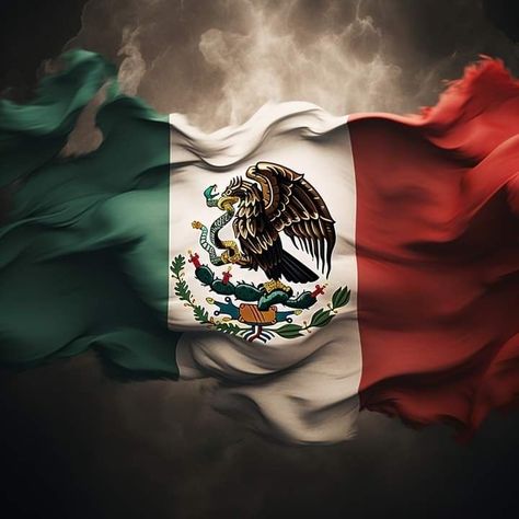 Mexican Flag Tattoos, Wallpaper Mexico, Pictures Of Flags, Meso America, Mexico Wallpaper, Mexico Pictures, Music Notes Art, Mexican T Shirts, Chicano Style Tattoo