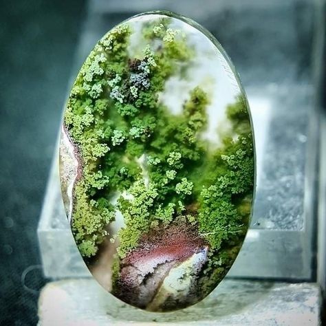 Moss Agate Aesthetic, Rockhounding California, Gem Drawing, Geology Rocks, Raw Minerals, Pretty Rocks, Cool Rocks, Crystal Magic, Beautiful Rocks