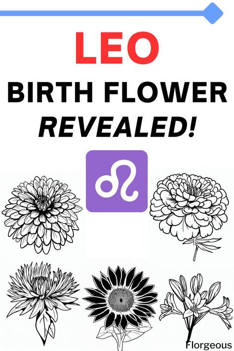 Leo Birth Flower Leo Floral Tattoo, Leo Birth Flower, Leo Birth Flower Tattoo, Leo Flower, Flower Leo Tattoo, Leo Zodiac Flower Tattoo, Lion Flower Tattoo, Leo Symbolism, Leo Flower Tattoo