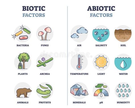 Biotic And Abiotic Factors, Abiotic Factors, Biotic And Abiotic, Ecosystems Projects, Basic Geography, Text To Self Connection, Aquatic Ecosystem, Biology Art, Biology Notes