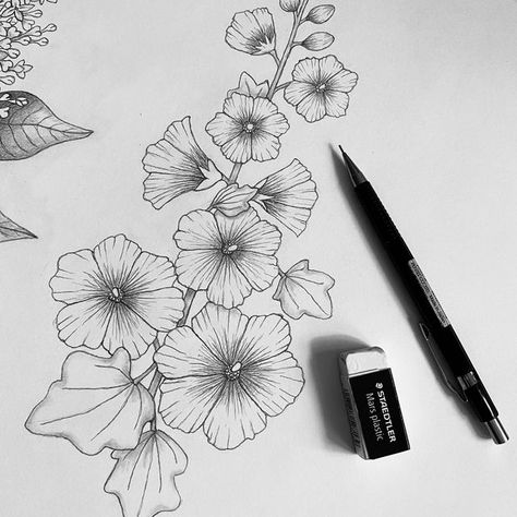 Hollyhock Flower Drawing, Hollyhock Tattoo Black And White, How To Draw Hollyhocks, Hollyhocks Flowers Drawing, Holly Hawks Flowers, Primrose Flower Tattoo Design, Holly Hock Tattoo, Hollyhocks Tattoo, Hawthorne Flower Drawing